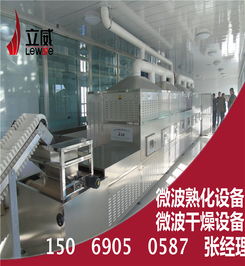 單晶硅微波烘干機 新興節(jié)能環(huán)保型烘干設(shè)備的革新力量